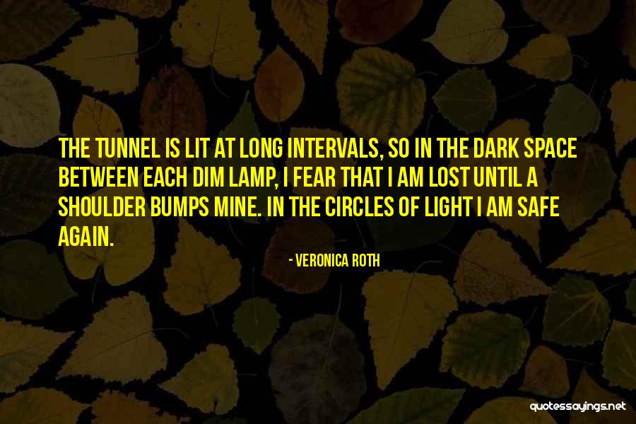 Life Goes In Circles Quotes By Veronica Roth