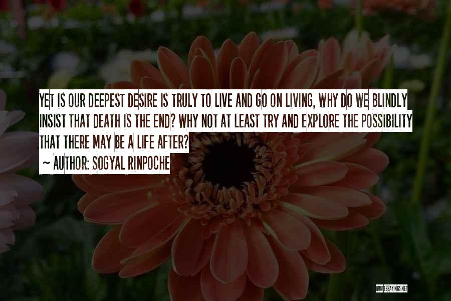 Life Goes On After Death Quotes By Sogyal Rinpoche