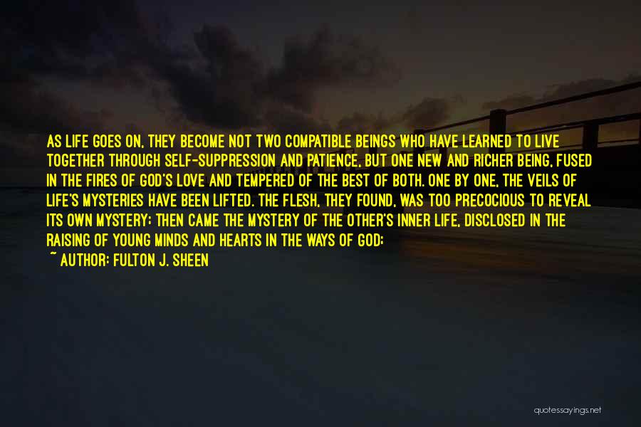 Life Goes Through Quotes By Fulton J. Sheen