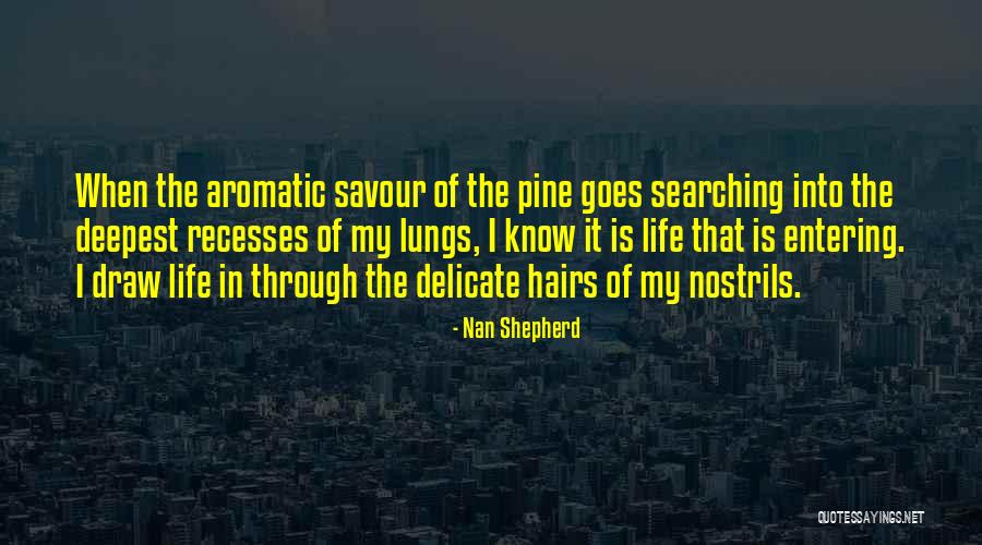 Life Goes Through Quotes By Nan Shepherd Life Goes Through Quotes By Nan Shepherd