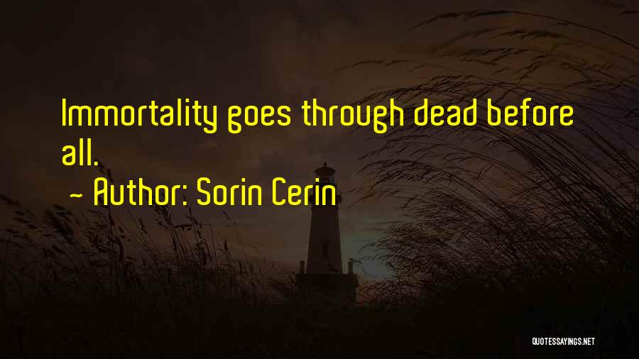 Life Goes Through Quotes By Sorin Cerin