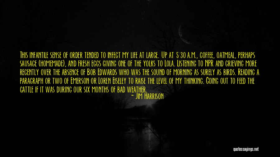 Life Going Bad Quotes By Jim Harrison