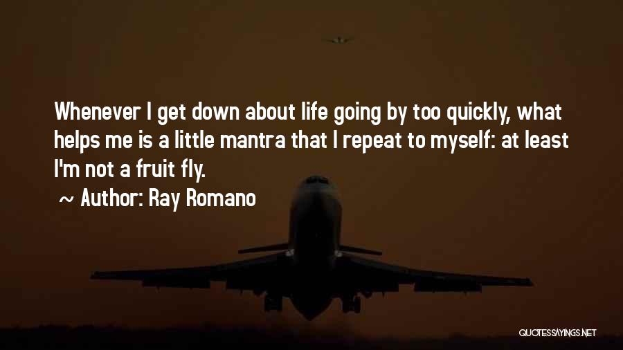 Life Going Down Quotes By Ray Romano