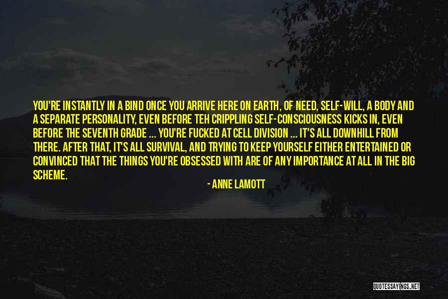 Life Going Downhill Quotes By Anne Lamott