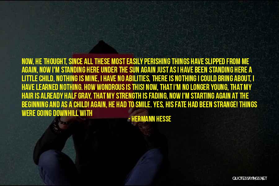 Life Going Downhill Quotes By Hermann Hesse