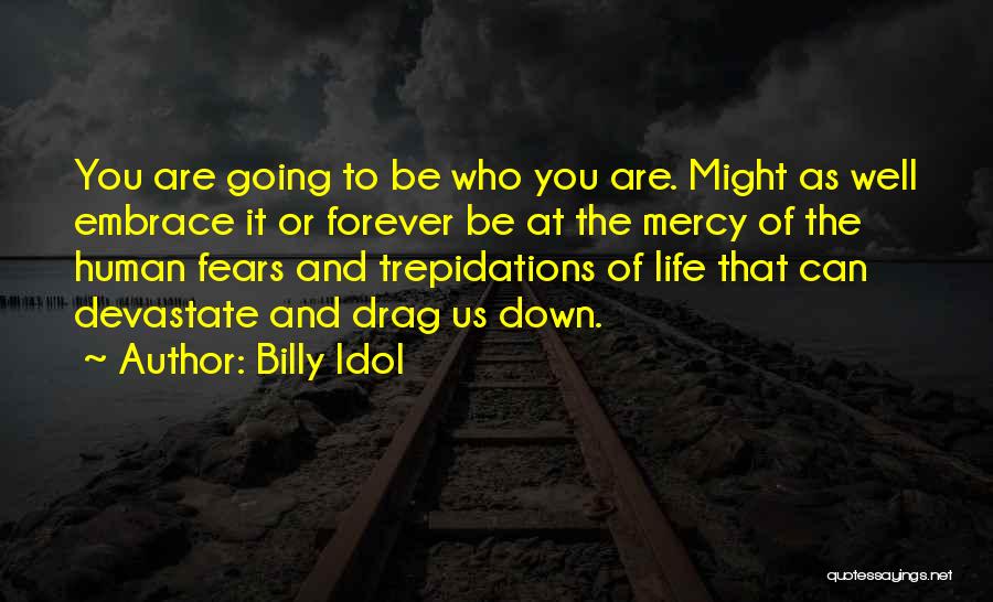 Life Going Well Quotes By Billy Idol