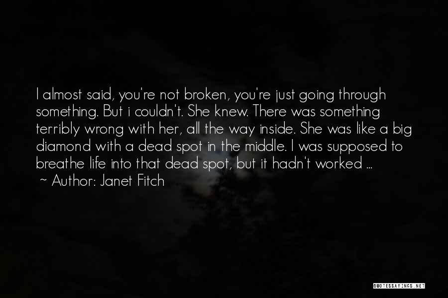 Life Going Wrong Quotes By Janet Fitch