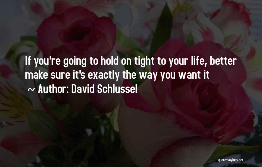 Life Going Your Way Quotes By David Schlussel