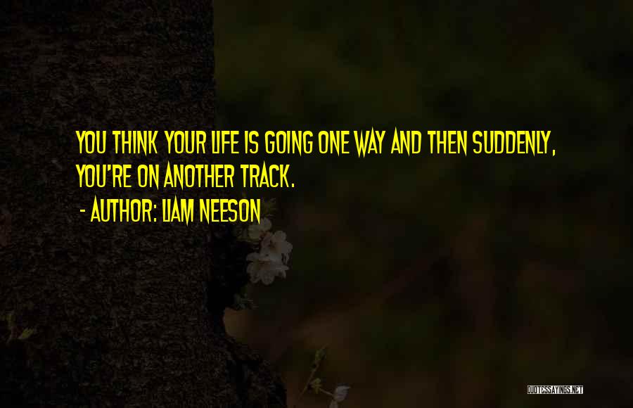 Life Going Your Way Quotes By Liam Neeson
