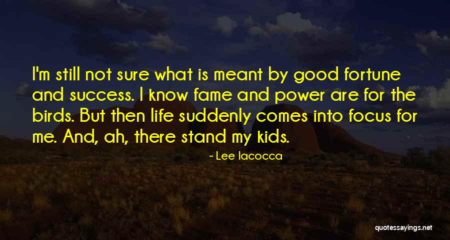Life Good Fortune Quotes By Lee Iacocca