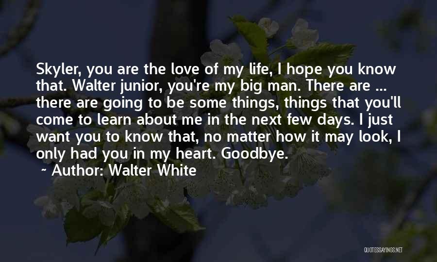 Life Goodbye Quotes By Walter White