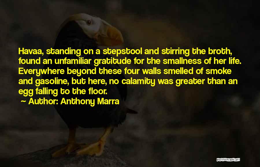 Life Gratitude Quotes By Anthony Marra