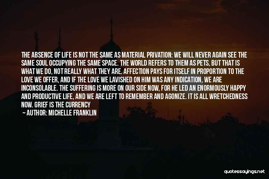 Life Grief Quotes By Michelle Franklin