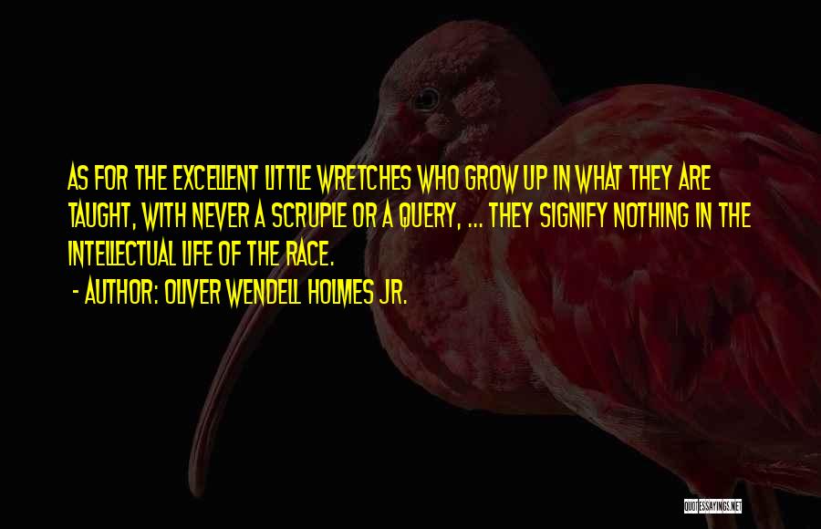 Life Grow Quotes By Oliver Wendell Holmes Jr.