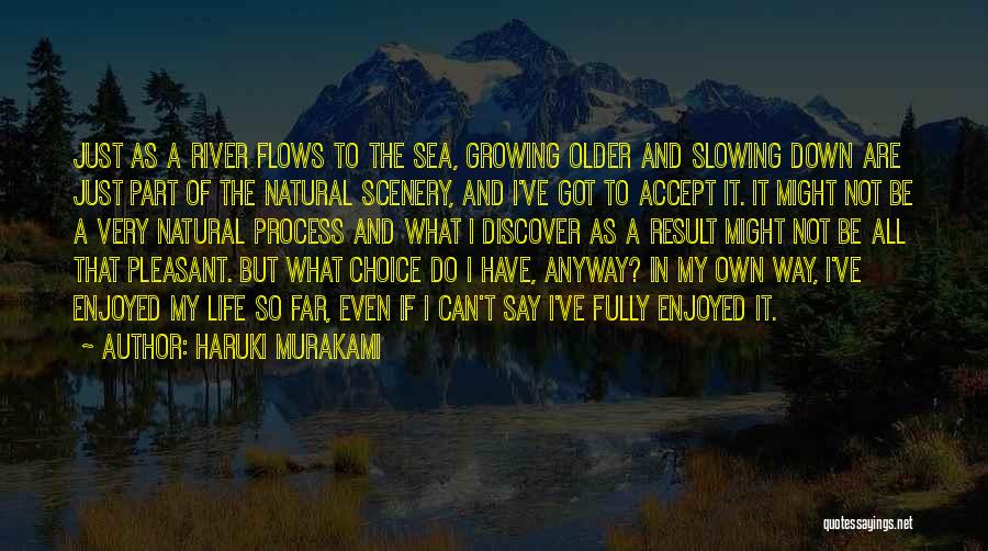 Life Growing Older Quotes By Haruki Murakami