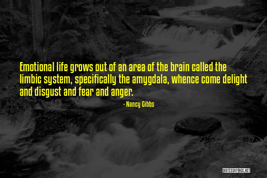 Life Grows Quotes By Nancy Gibbs