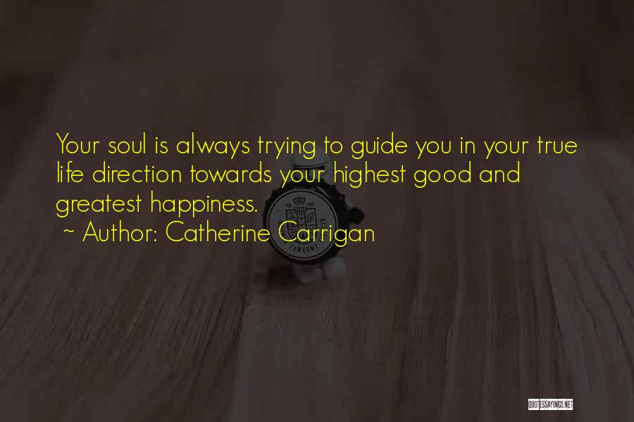 Life Guide Quotes By Catherine Carrigan