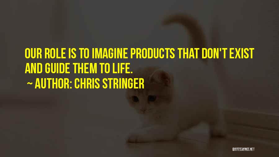 Life Guide Quotes By Chris Stringer