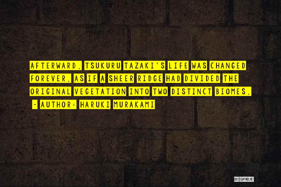 Life Haruki Murakami Quotes By Haruki Murakami