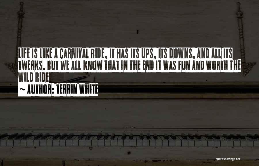 Life Has Its Ups Downs Quotes By Terrin White