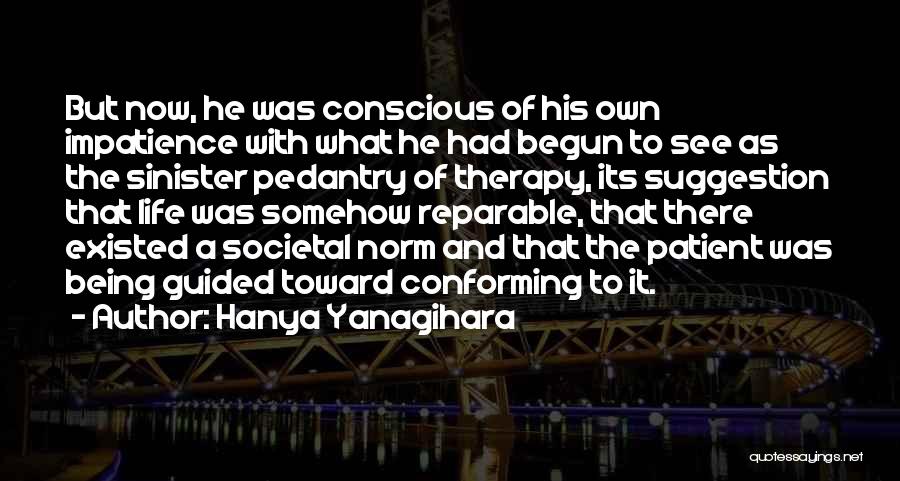 Life Has Just Begun Quotes By Hanya Yanagihara
