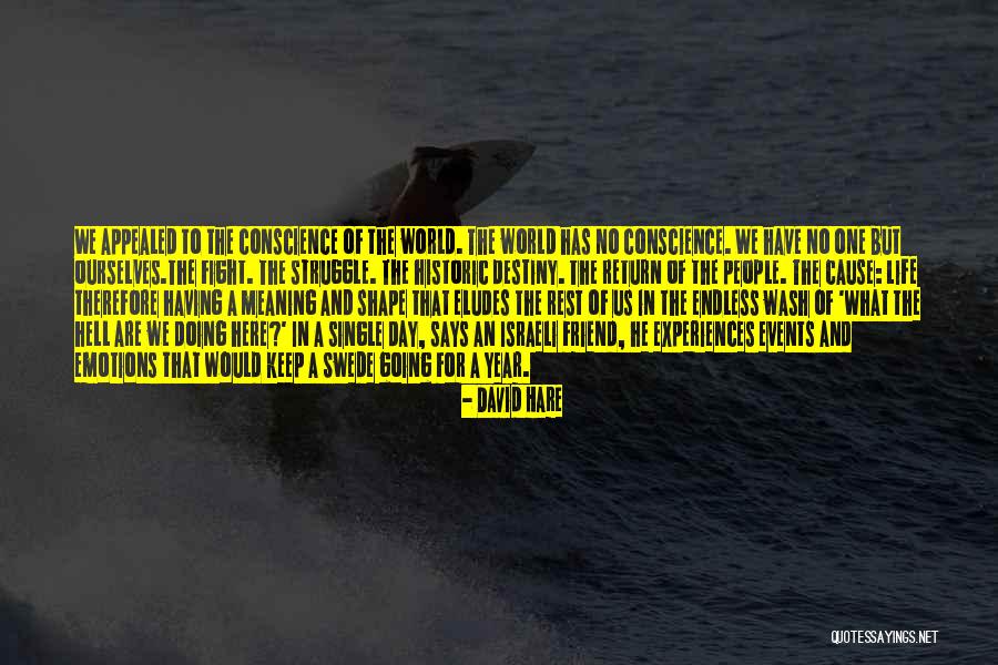 Life Has No Meaning Quotes By David Hare Life Has No Meaning Quotes By David Hare