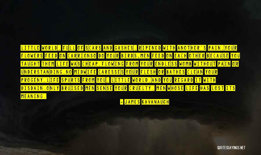 Life Has No Meaning Quotes By James Kavanaugh Life Has No Meaning Quotes By James Kavanaugh