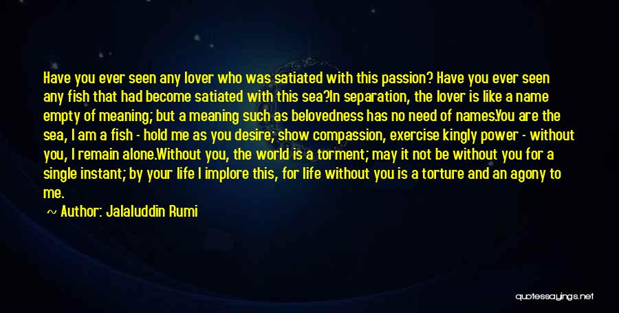 Life Has No Meaning Without You Quotes By Jalaluddin Rumi