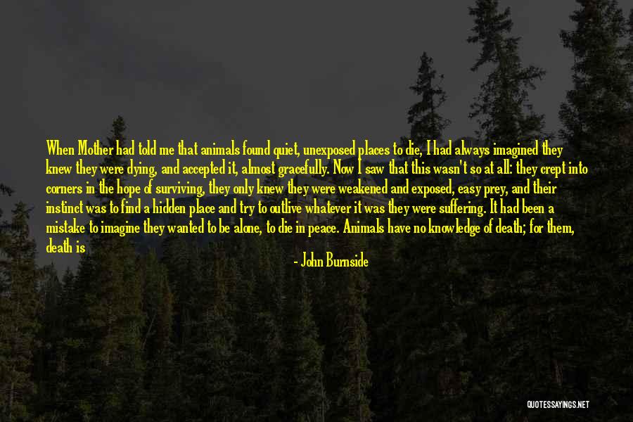 Life Has Not Been Easy Quotes By John Burnside Life Has Not Been Easy Quotes By John Burnside