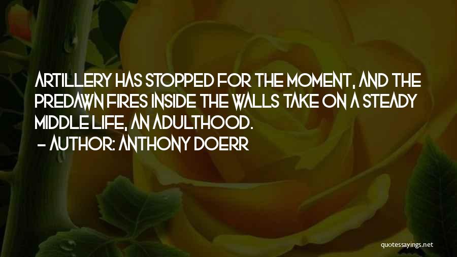 Life Has Stopped Quotes By Anthony Doerr