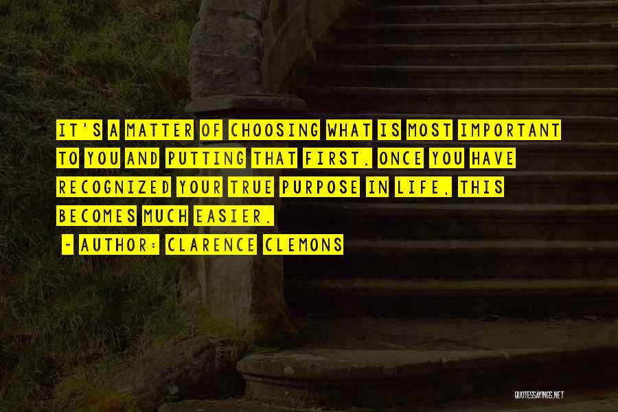 Life Having No Purpose Quotes By Clarence Clemons