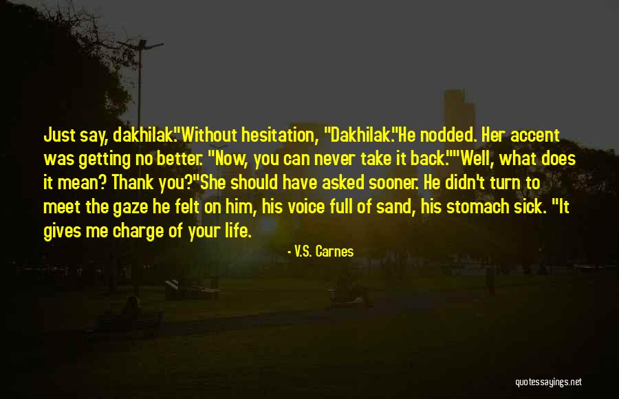 Life Hesitation Quotes By V.S. Carnes Life Hesitation Quotes By V.S. Carnes