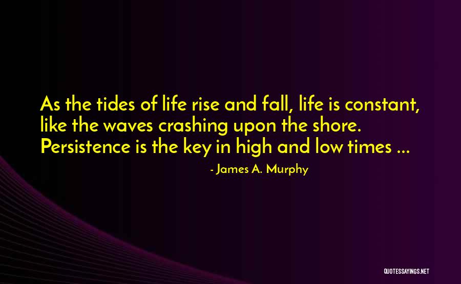 Life High And Low Quotes By James A. Murphy