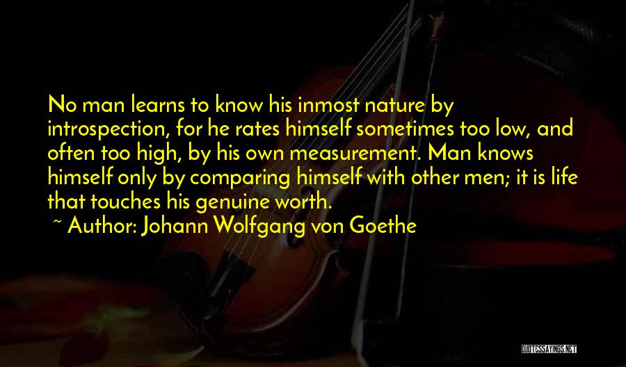 Life High And Low Quotes By Johann Wolfgang Von Goethe