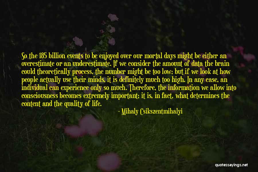 Life High And Low Quotes By Mihaly Csikszentmihalyi