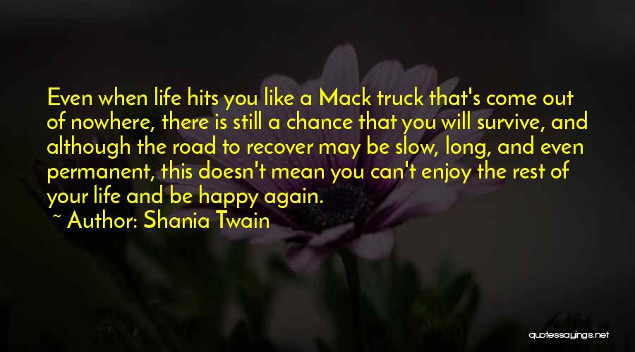 Life Hits You Quotes By Shania Twain