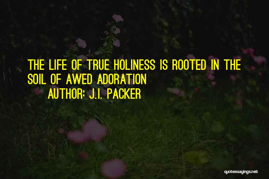 Life Holiness Quotes By J.I. Packer