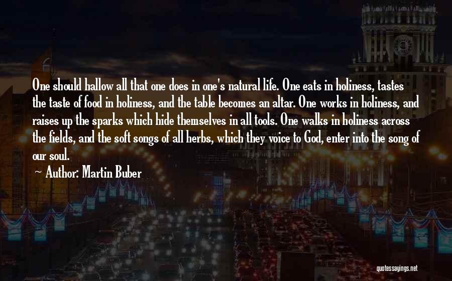 Life Holiness Quotes By Martin Buber