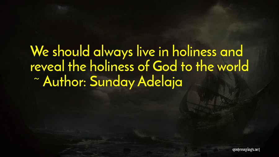 Life Holiness Quotes By Sunday Adelaja