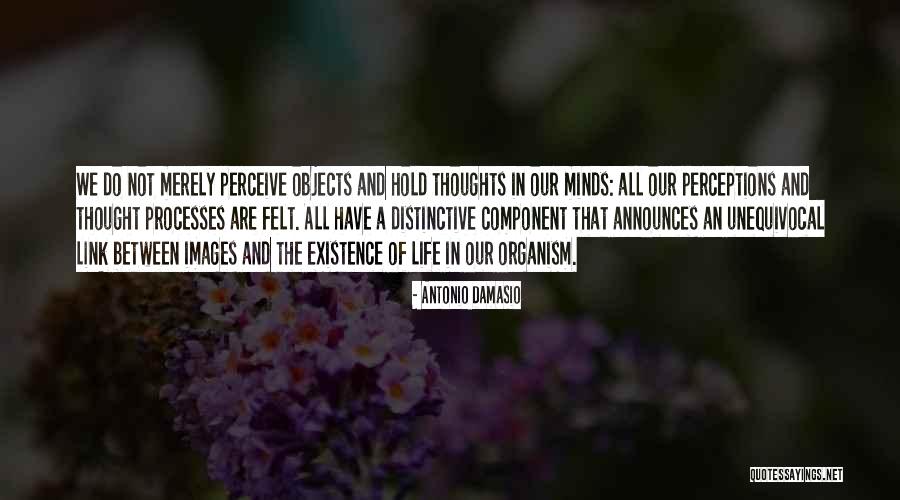 Life Images Quotes By Antonio Damasio