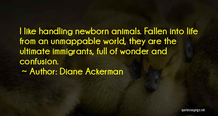 Life Immigrants Quotes By Diane Ackerman