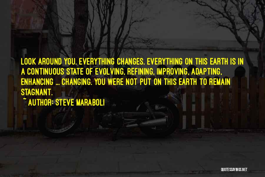 Life Improving Quotes By Steve Maraboli