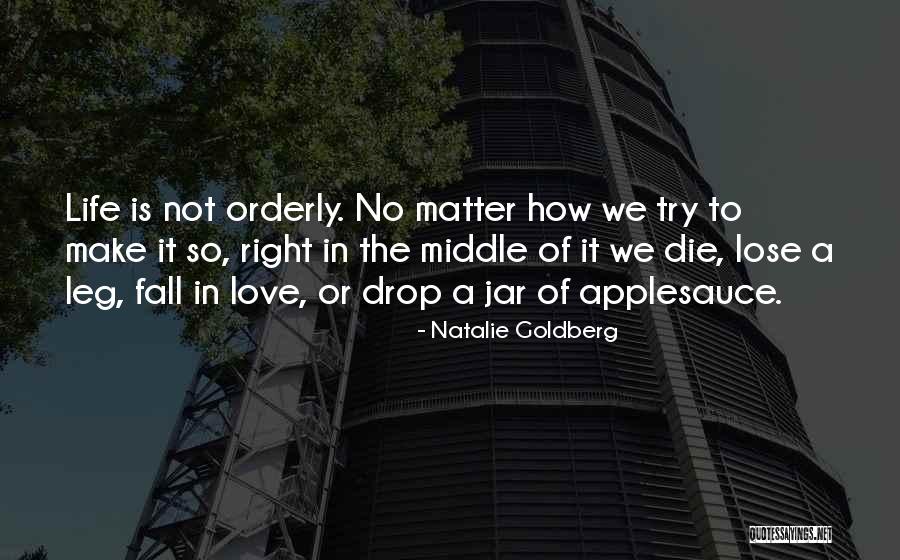 Life In A Jar Quotes By Natalie Goldberg Life In A Jar Quotes By Natalie Goldberg