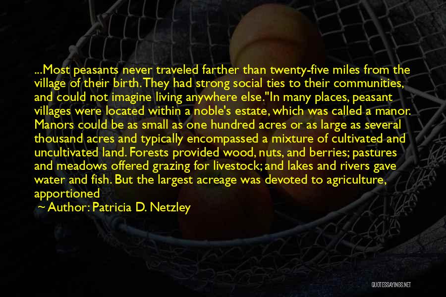 Life In A Village Quotes By Patricia D. Netzley