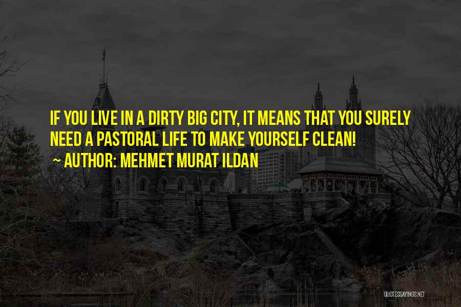 Life In Big City Quotes By Mehmet Murat Ildan