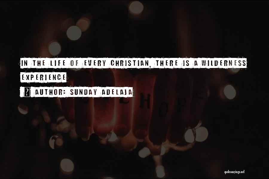 Life In Christian Quotes By Sunday Adelaja