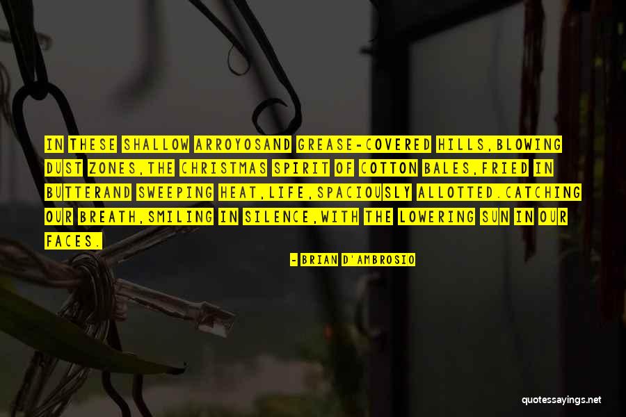 Life In Christmas Quotes By Brian D'Ambrosio Life In Christmas Quotes By Brian D'Ambrosio