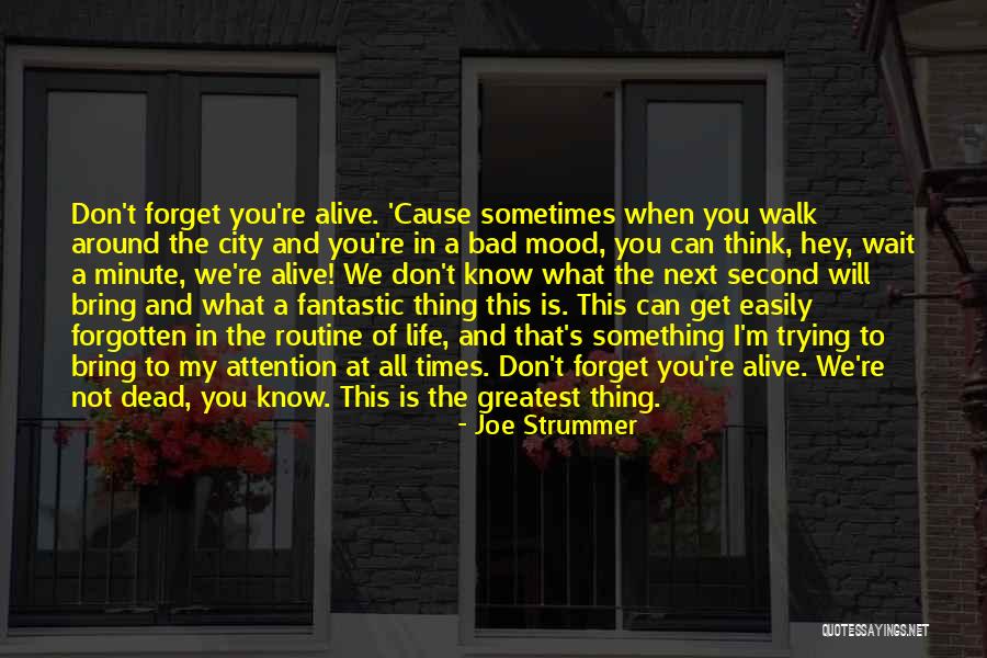 Life In City Quotes By Joe Strummer Life In City Quotes By Joe Strummer