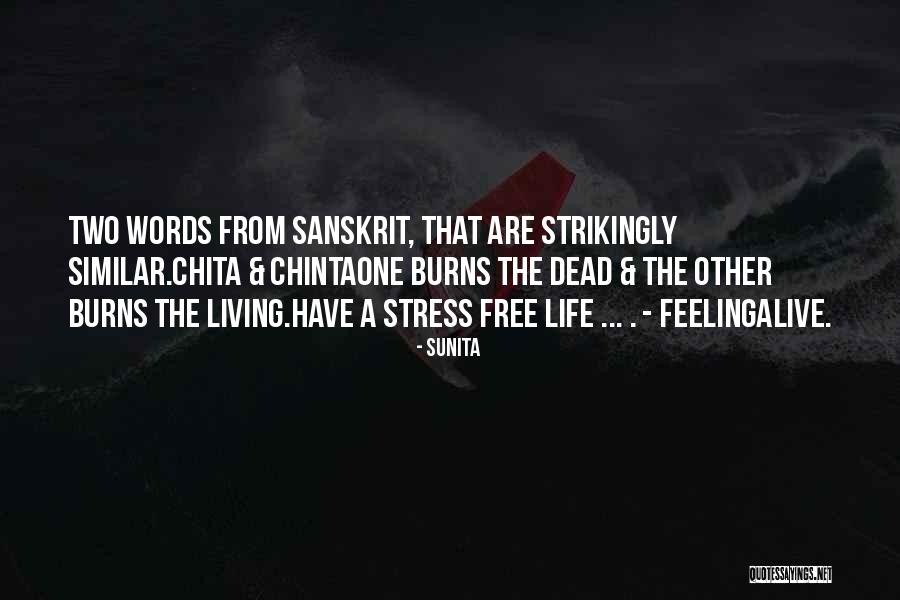 Life In Sanskrit Quotes By Sunita