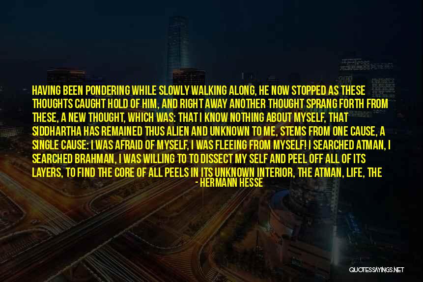 Life In Siddhartha Quotes By Hermann Hesse Life In Siddhartha Quotes By Hermann Hesse